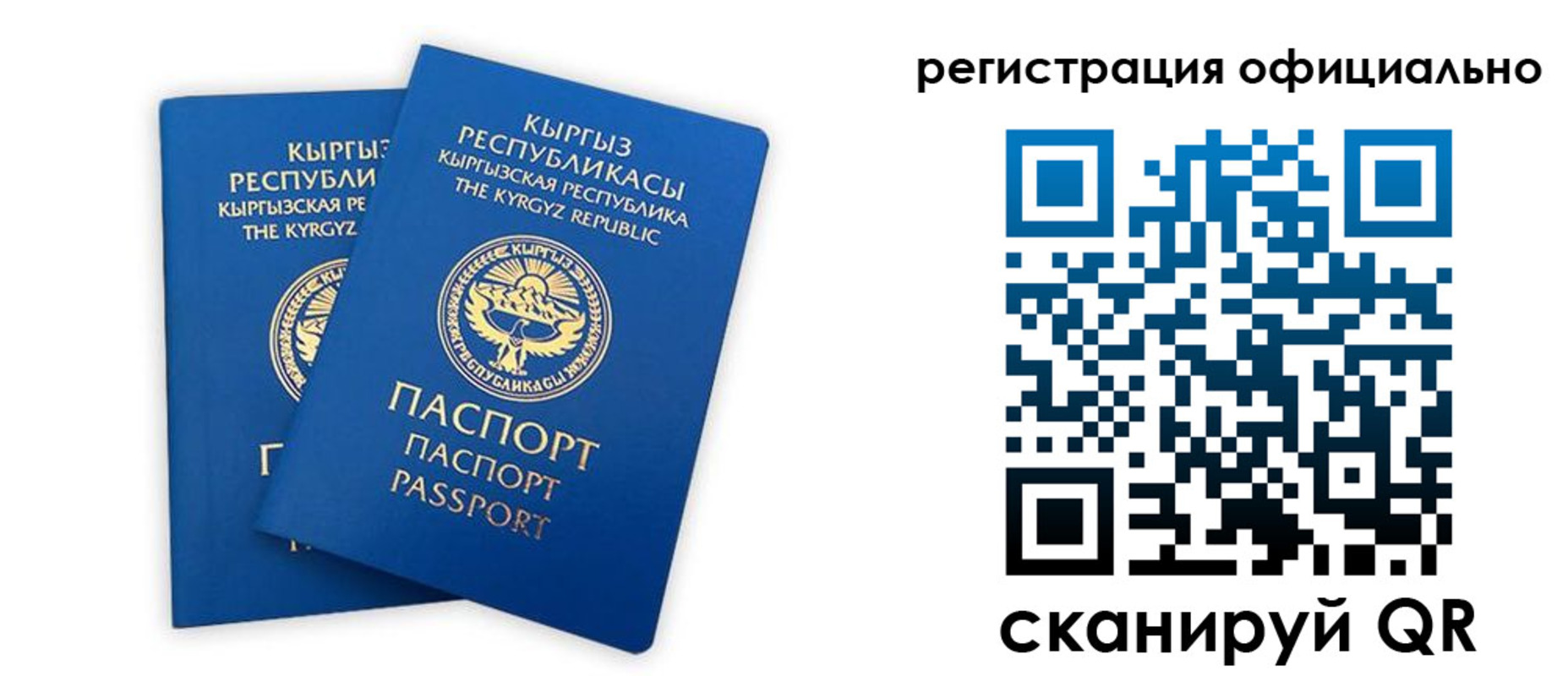 прописка поиск в Зее